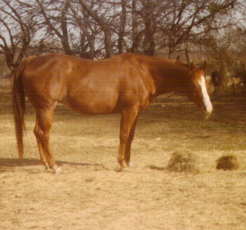 lady2004.jpg